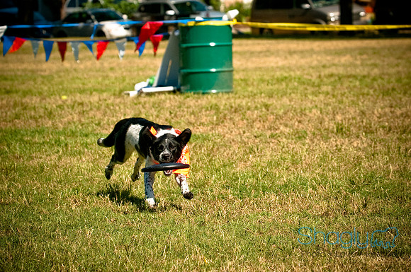 Dog Days of Denton2010-20
