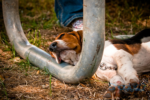 Dog Days of Denton2010-47