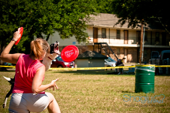 Dog Days of Denton2010-7