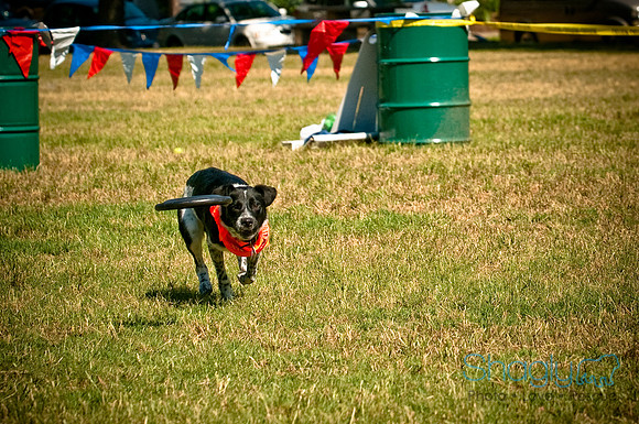 Dog Days of Denton2010-19