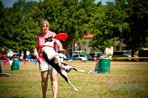 Dog Days of Denton2010-9