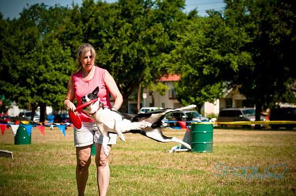 Dog Days of Denton2010-10