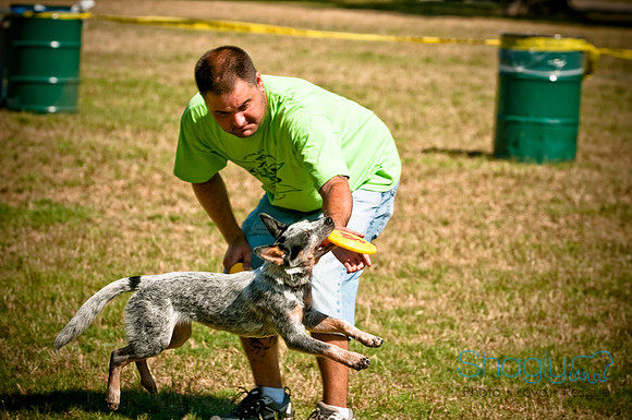 Dog Days of Denton2010-13