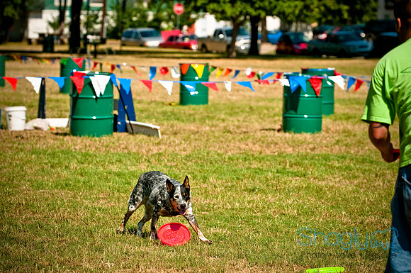 Dog Days of Denton2010-24