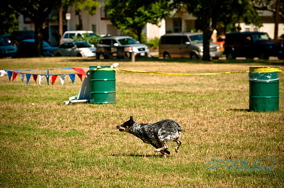 Dog Days of Denton2010-22