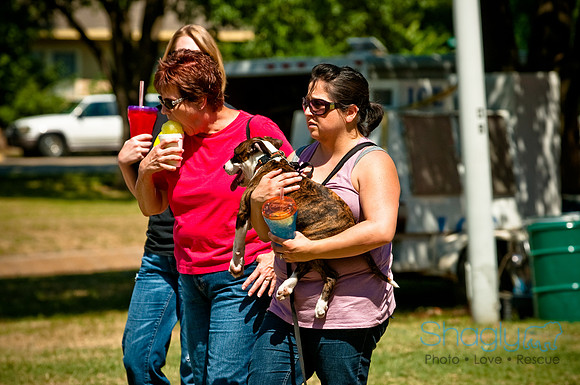 Dog Days of Denton2010-34