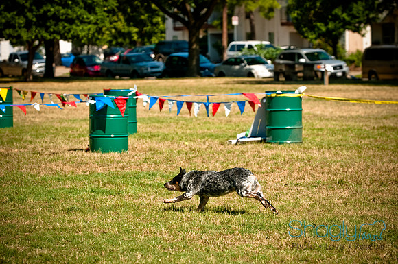 Dog Days of Denton2010-23