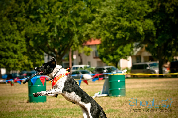 Dog Days of Denton2010-17
