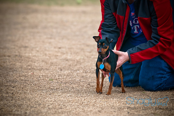 Dog Park 02-20-2010-25