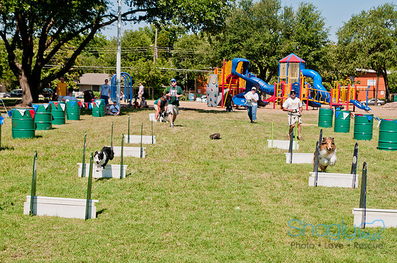 Dog Days of Denton 2011-24