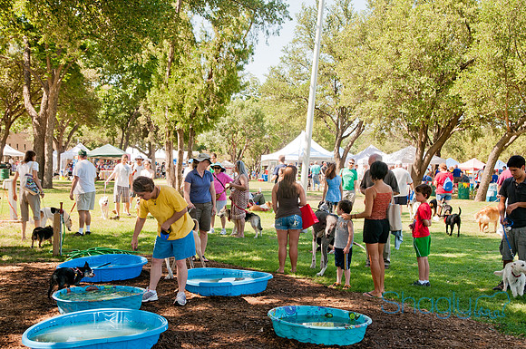 Dog Days of Denton 2011-22