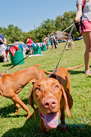 Dog Days of Denton 2011-23