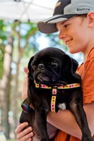 Dog Days of Denton 2011-3
