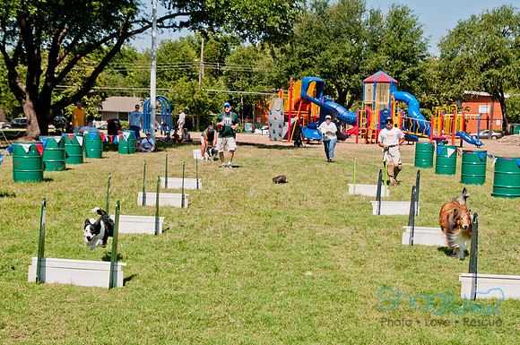 Dog Days of Denton 2011-25
