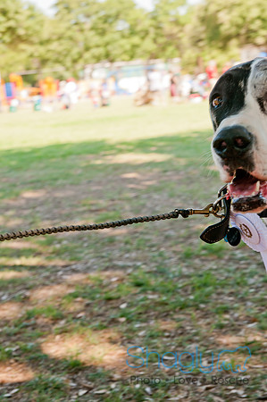Dog Days of Denton 2011-21