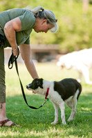 Dog Days of Denton 2011-12