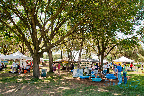 Dog Days of Denton 2011-26