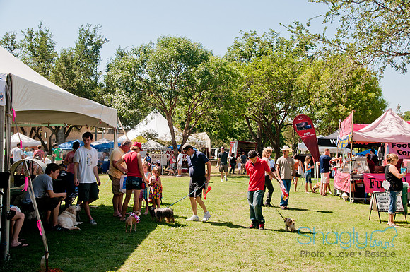 Dog Days of Denton 2011-27