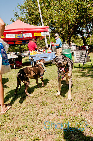 Dog Days of Denton 2011-28