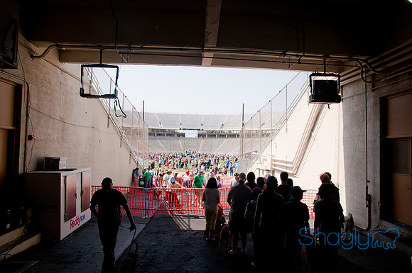 Dallas Dog Bowl 2011-90