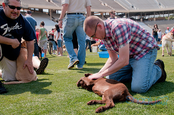 Dallas Dog Bowl 2011-45