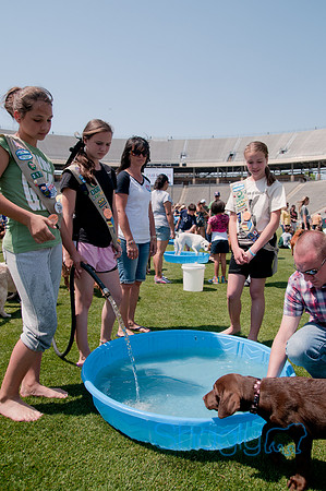 Dallas Dog Bowl 2011-50