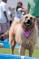Dallas Dog Bowl 2011-19