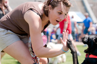 Dallas Dog Bowl 2011-13