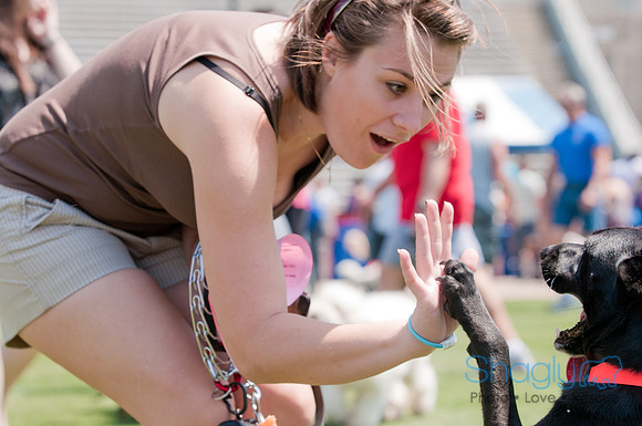 Dallas Dog Bowl 2011-13