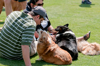 Dallas Dog Bowl 2011-16