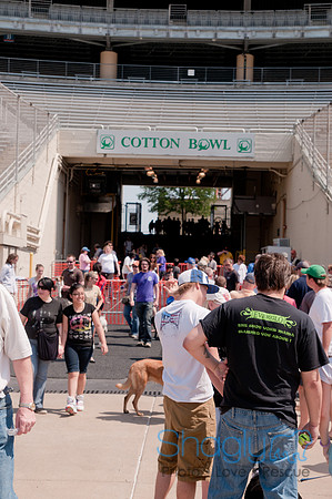 Dallas Dog Bowl 2011-81