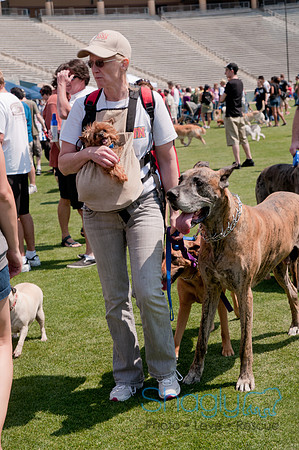 Dallas Dog Bowl 2011-75