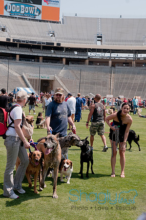 Dallas Dog Bowl 2011-74
