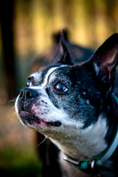 Shagly Photography-17