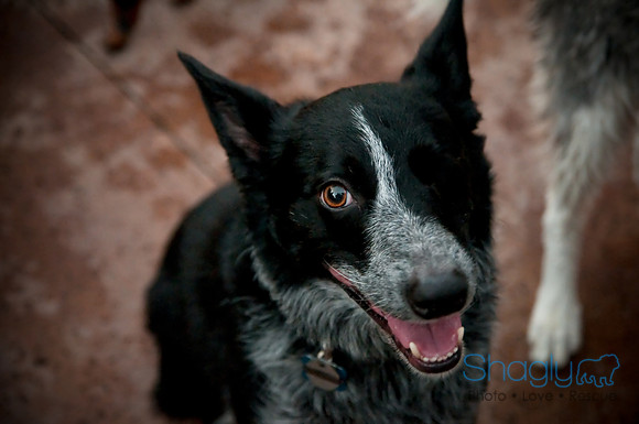 Shagly Photography-24