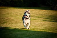 Shagly Photography-12