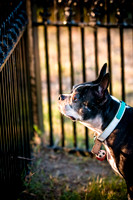 Shagly Photography-14