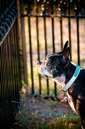 Shagly Photography-14