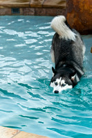 Shagly Photography-1