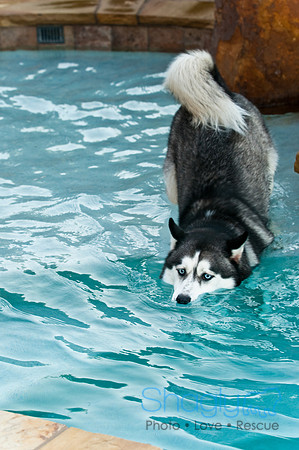 Shagly Photography-1