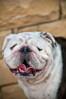 Shagly Photography-8