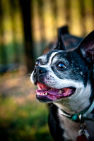 Shagly Photography-16