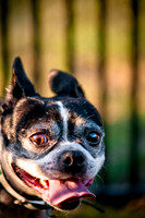 Shagly Photography-15
