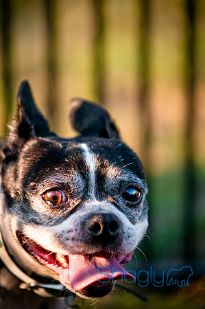 Shagly Photography-15
