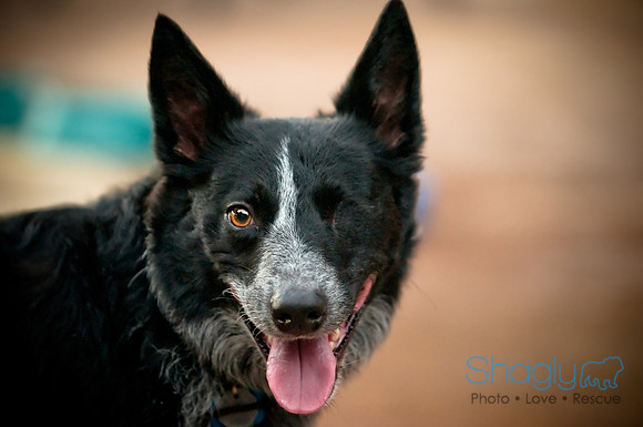 Shagly Photography-23