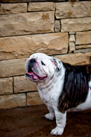 Shagly Photography-9