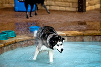 Shagly Photography-3
