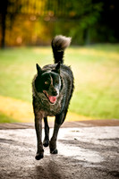 Shagly Photography-7