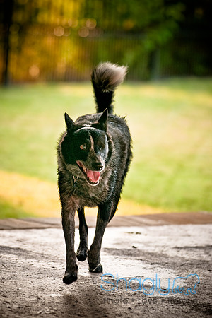 Shagly Photography-7