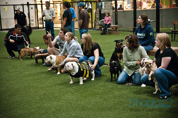 Bulldog Night-66